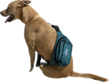 Yena Bum Bags