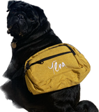 Yena Bum Bags